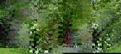 LG Image 4