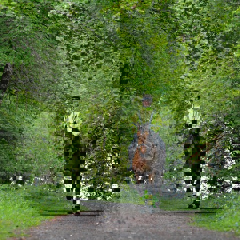 LG Image 4