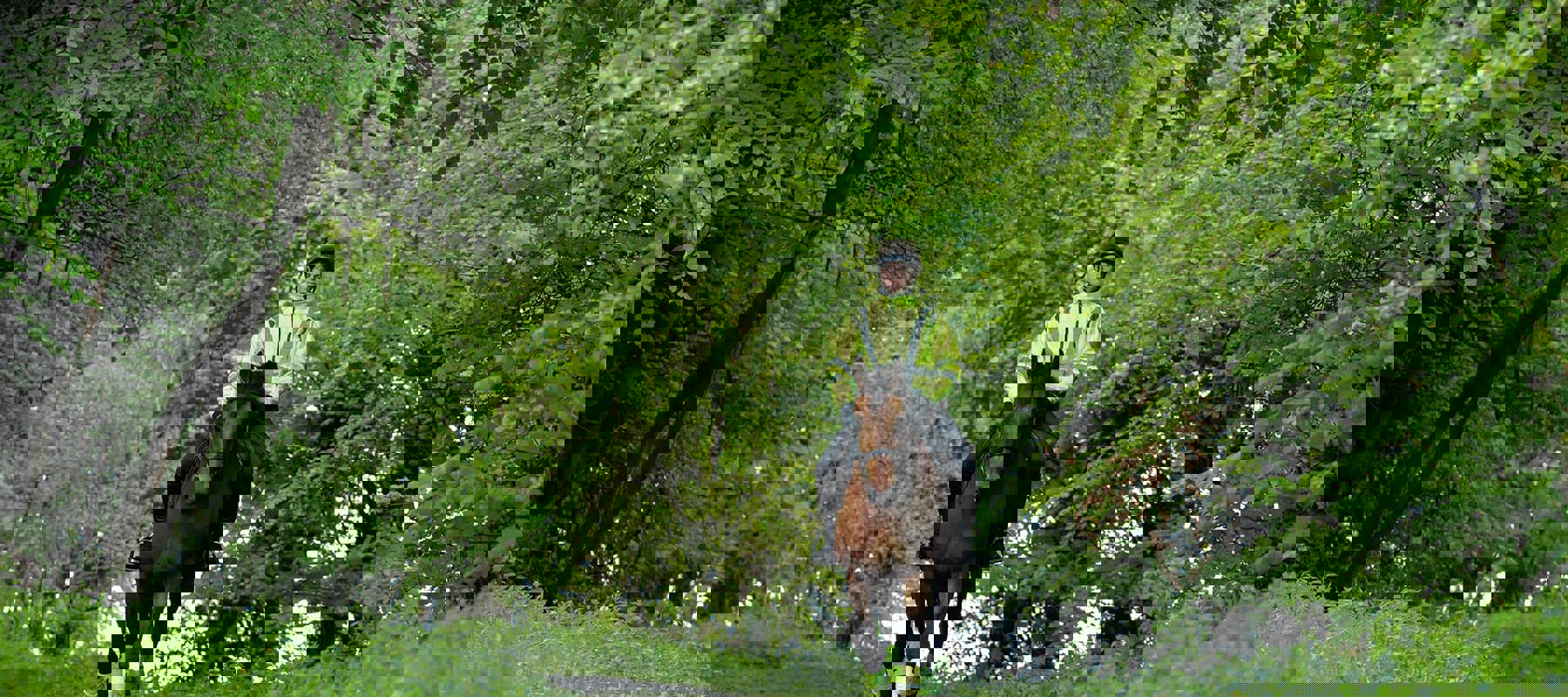 LG Image 4