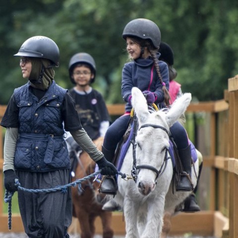 children riding on ponies