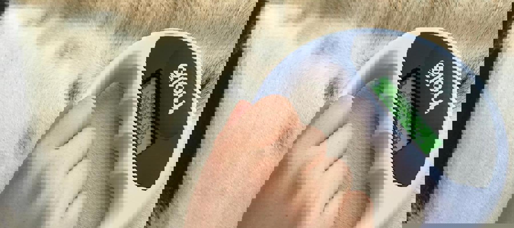 horse Microchip Scanner