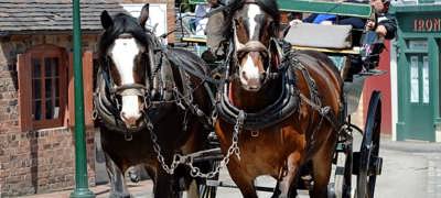 Steve And Shires (1)