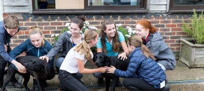Safeguarding Course kids playing with dogs