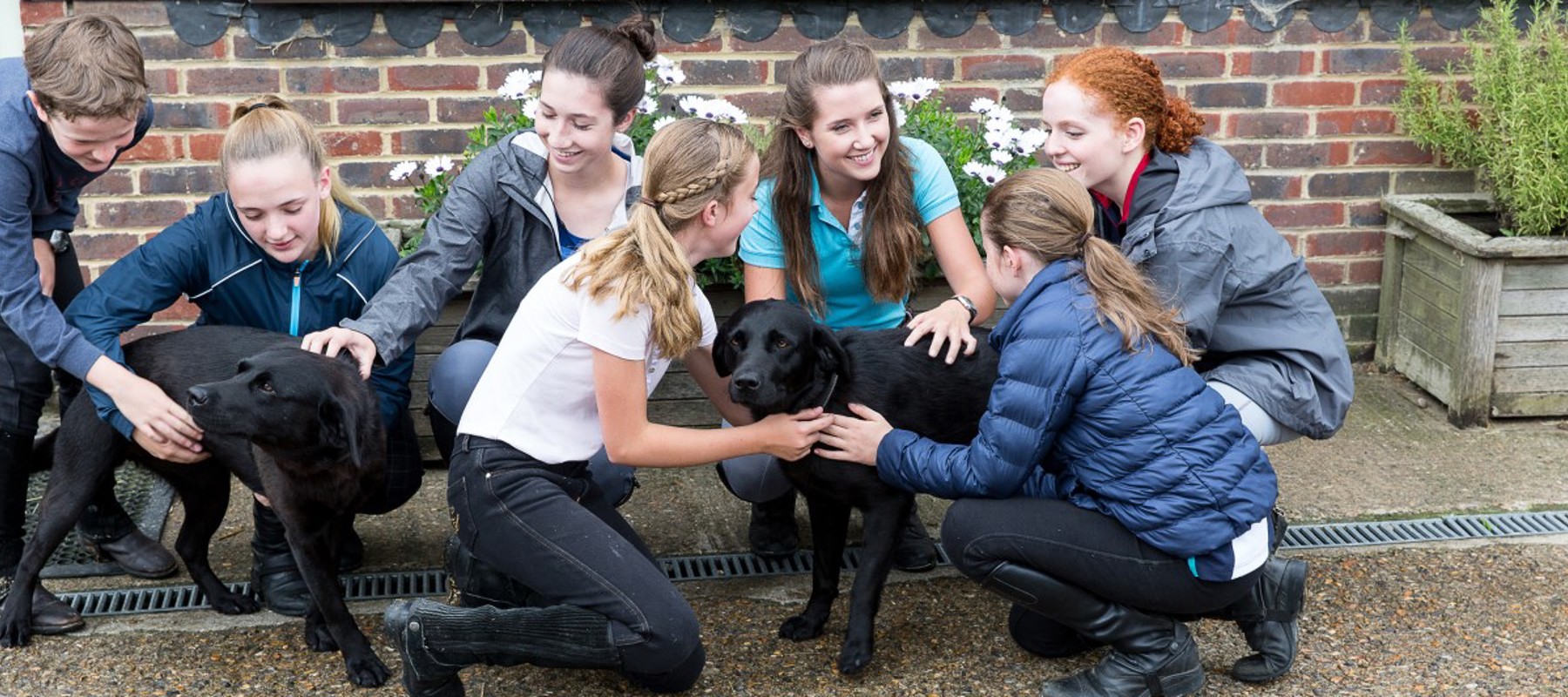 Safeguarding Course kids playing with dogs