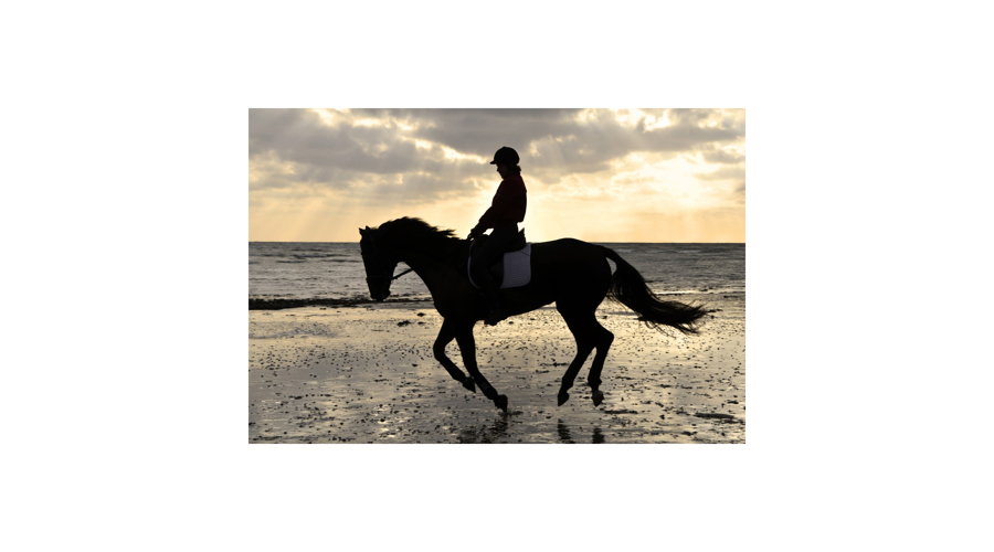 Legacy Rider On The Beach Shutterstock 93699190 Border 2