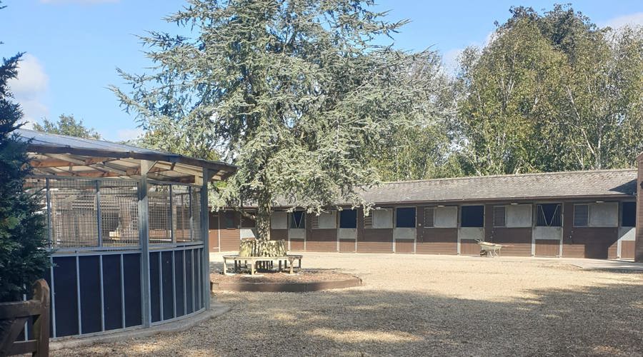 Horse Yard Pic