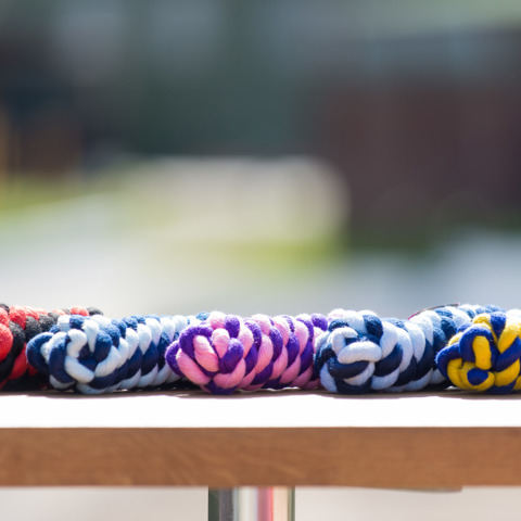 Lead Ropes